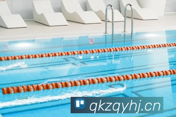 多媒体互动体验